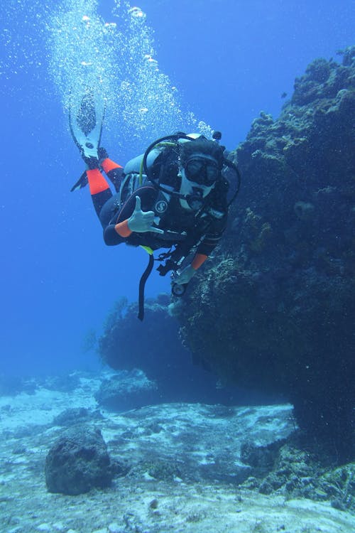 Tiran Island: Full - day Snorkeling and Diving Boat Trip