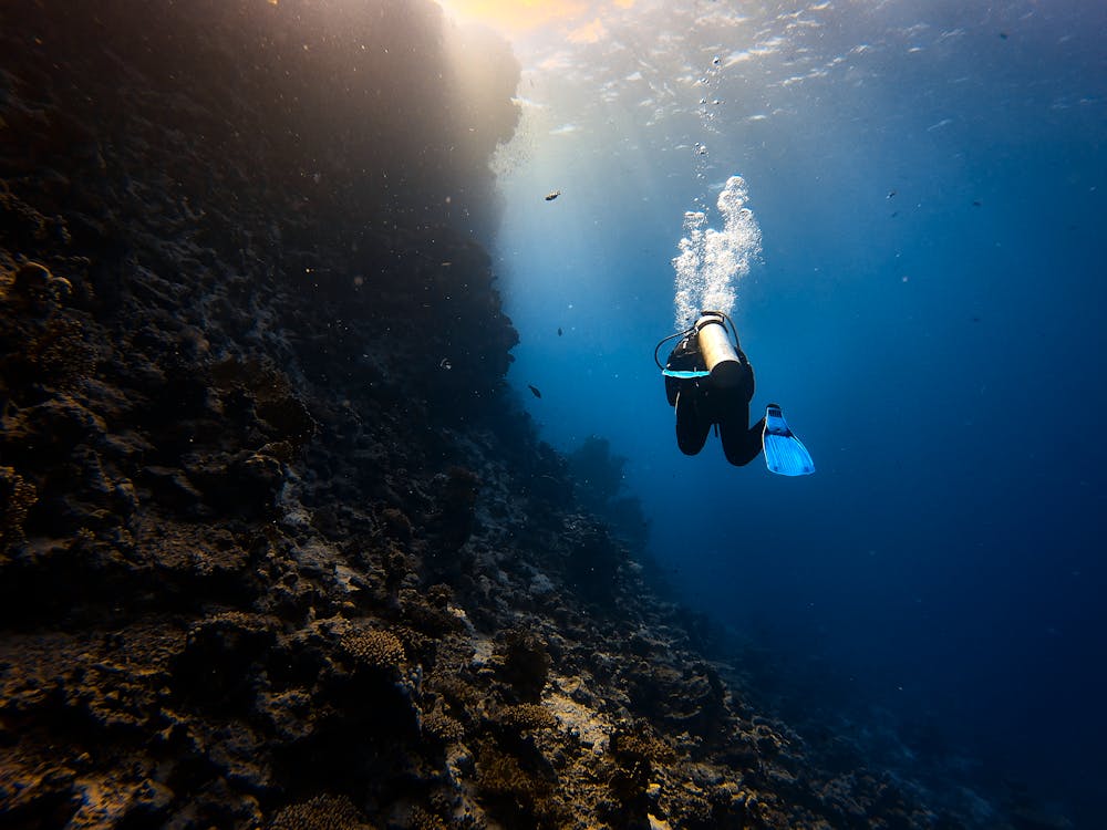 Tiran Island: Full - day Snorkeling and Diving Boat Trip