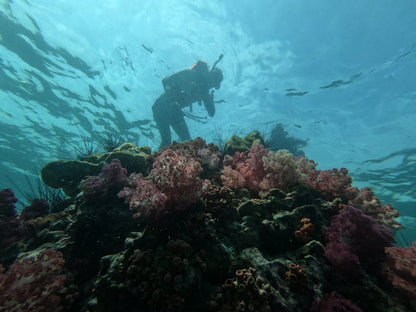 Tiran Island: Full - day Snorkeling and Diving Boat Trip