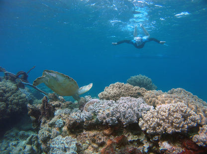 Tiran Island: Full - day Snorkeling and Diving Boat Trip