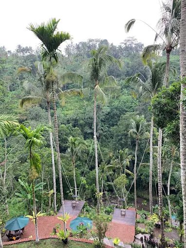 Ubud: ATV Quad Bike Tour with Optional Jungle Swing and Rice Terrace