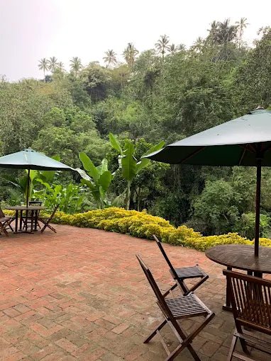 Ubud: ATV Quad Bike Tour with Optional Jungle Swing and Rice Terrace