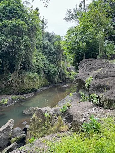 Ubud: Gorilla Cave Tunnel ATV and Beji Guwang Hidden Canyon Tour