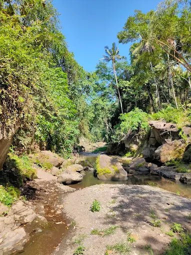 Ubud: Gorilla Cave Tunnel ATV and Beji Guwang Hidden Canyon Tour