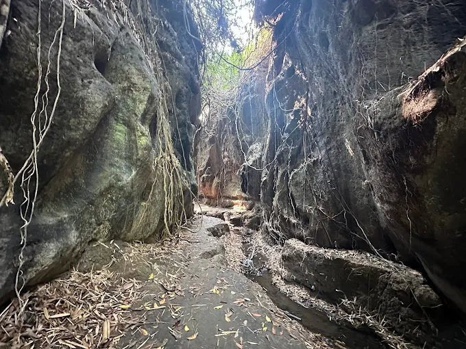 Ubud: Gorilla Cave Tunnel ATV and Beji Guwang Hidden Canyon Tour