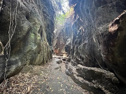 Ubud: Gorilla Cave Tunnel ATV and Beji Guwang Hidden Canyon Tour