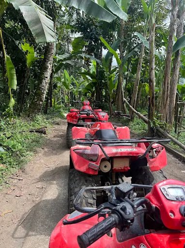 Ubud: Gorilla Face ATV Ride and Batur Natural Hot Spring Tour