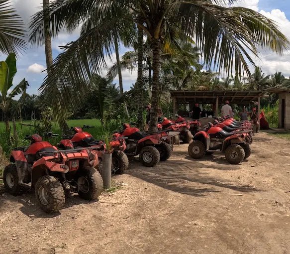 Ubud: Gorilla Face ATV Ride and Batur Natural Hot Spring Tour