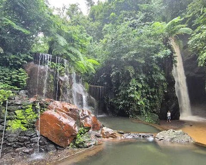 Ubud: Private Guided Gorilla Cave ATV and Waterfall Tour with Meal