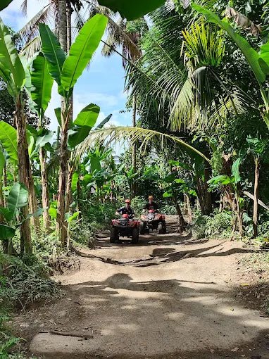 Ubud: Private Guided Gorilla Cave ATV and Waterfall Tour with Meal