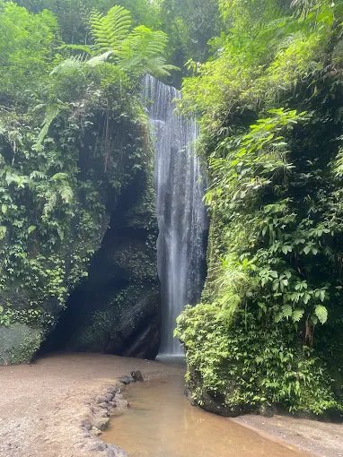 Ubud: Private Guided Gorilla Cave ATV and Waterfall Tour with Meal