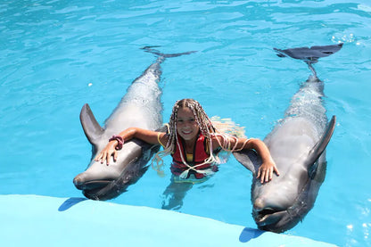 Hurghada: Biglietti d'ingresso per lo spettacolo Dolphin World con trasferimento dall'hotel