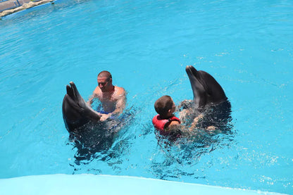 Hurghada: Biglietti d'ingresso per lo spettacolo Dolphin World con trasferimento dall'hotel