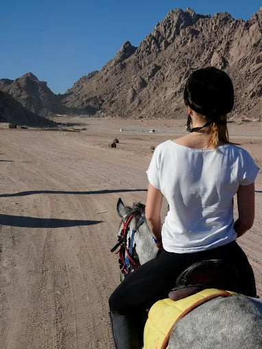 シャルム・エル・シェイク：マングローブビーチでのサンセットホースライディング