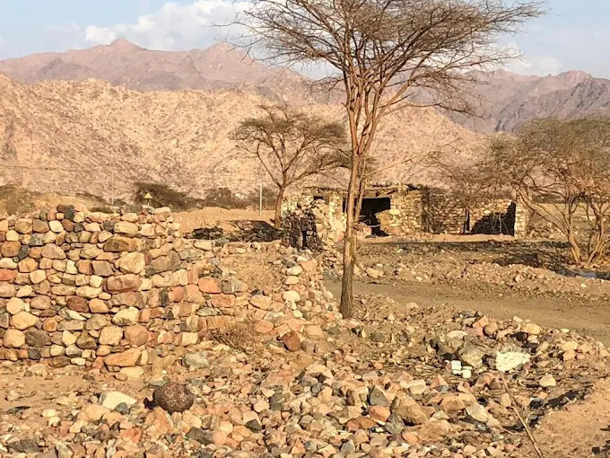 Vanuit Madinah: Volledige Dag Islamitisch Erfgoed Tour naar het Slagveld van Badr