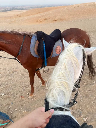 カイロ：ギザのピラミッドで乗馬体験