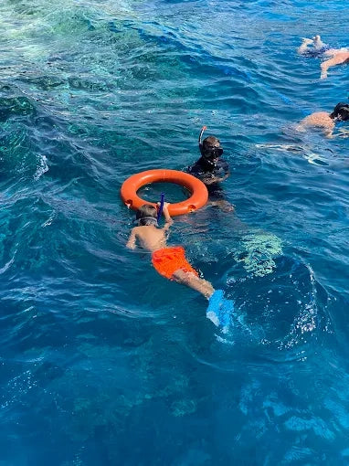 Sharm El Sheikh: Ras Mohammed og White Island snorkling båtutflukt med valgfri dykking