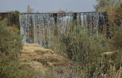 From Cairo: El Fayoum 4x4 Desert Safari and Highlights Guided Tour