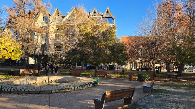 From Fez: Escursione di un giorno nel Medio Atlante, Ifrane e Azrou