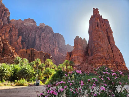 Dari AlUla: Tur Alam Sehari Penuh ke Ngarai Wadi Dissah dengan Makan Siang