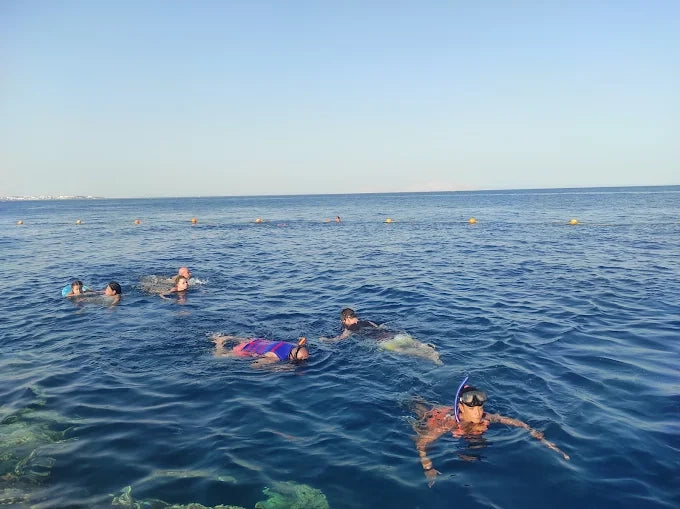 Sharm El Sheikh: Ras Mohammed og White Island snorkling båtutflukt med valgfri dykking