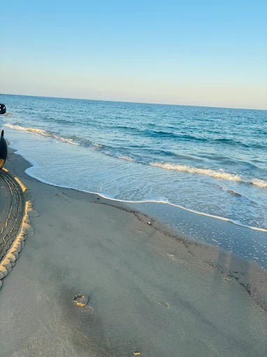 Doha: Desert Safari with Quad Bike, Camel Ride and Inland Sea Visit