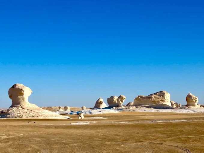 From Cairo: Black and White Desert and Bahiriya Oasis Guided Tour