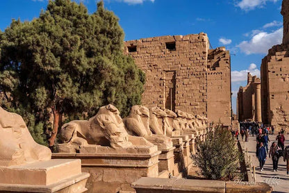 De Cairo: Excursão de um Dia a Luxor de Avião