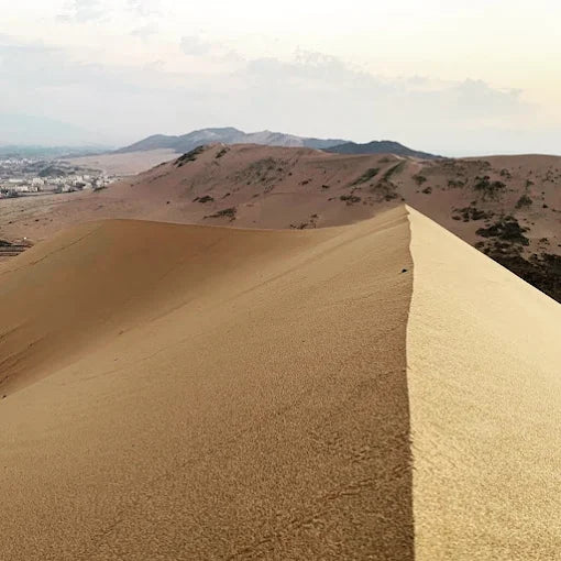 Vanuit Madinah: Volledige Dag Islamitisch Erfgoed Tour naar het Slagveld van Badr