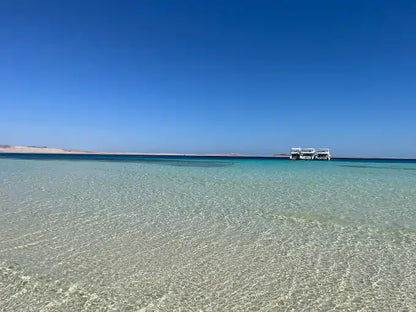 Sharm El Sheikh: Ras Mohammed og White Island snorkling båtutflukt med valgfri dykking