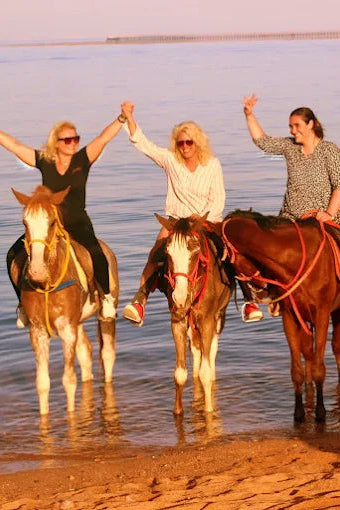Charm el-Cheikh : balade à cheval guidée au coucher du soleil à Mangroves Beach