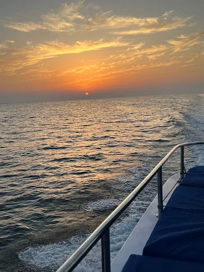 Mascate : plongée en apnée et essai de plongée aux îles Daymaniyat avec déjeuner barbecue