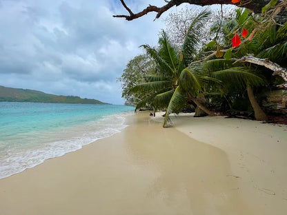 Praslin: Schnorchelausflug zur Insel Curieuse und St. Pierre