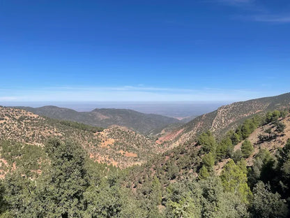 Fra Marrakech: Dagstur til Atlasfjellene med tradisjonell berberlunsj