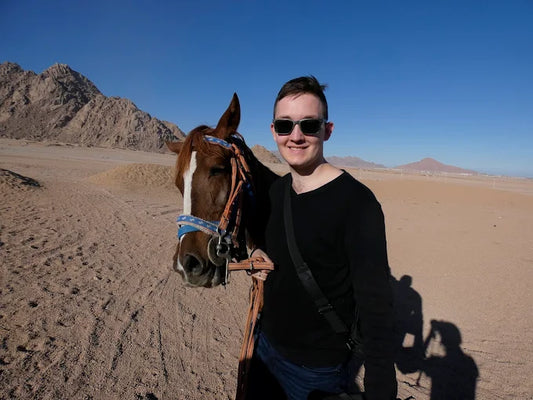 シャルム・エル・シェイク：マングローブビーチでのサンセットホースライディング