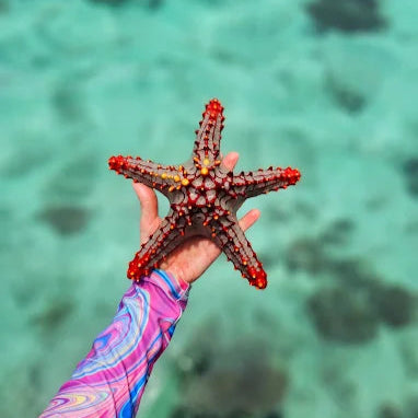 Zanzibar: Tur Perahu Layar ke Pungume Sandbank dengan Snorkeling dan Makan Siang BBQ