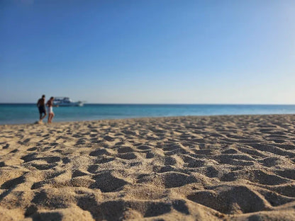 Hurghada: Hula Hula Island Boat Trip with Snorkeling and Lunch