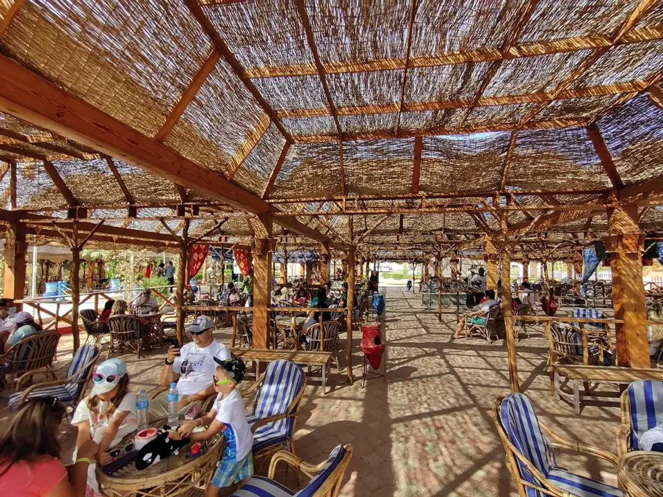 Hurghada: Biglietti d'ingresso per lo spettacolo Dolphin World con trasferimento dall'hotel