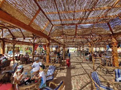 Hurghada: Biglietti d'ingresso per lo spettacolo Dolphin World con trasferimento dall'hotel