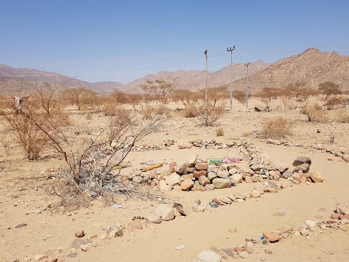 Vanuit Madinah: Volledige Dag Islamitisch Erfgoed Tour naar het Slagveld van Badr