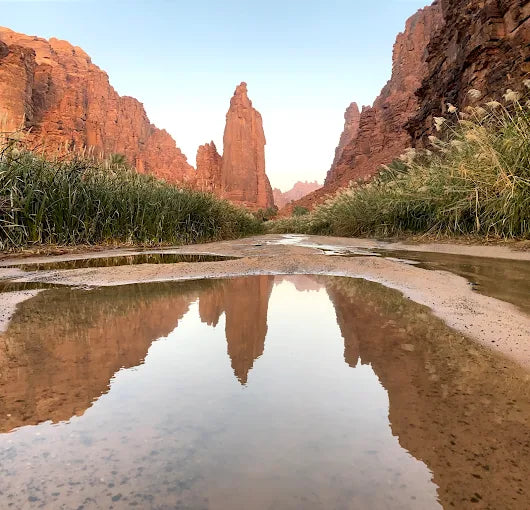 Dari AlUla: Tur Alam Sehari Penuh ke Ngarai Wadi Dissah dengan Makan Siang
