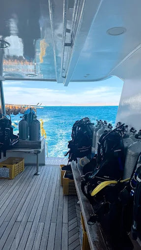 El Gouna: escursione in barca per un battesimo subacqueo per principianti