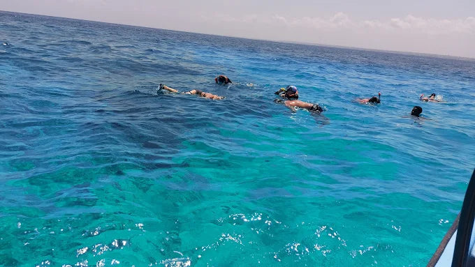 Zanzibar: Kendwa Plajı'ndan Mnemba Adası Şnorkelle Dalış ve Yunus Turu