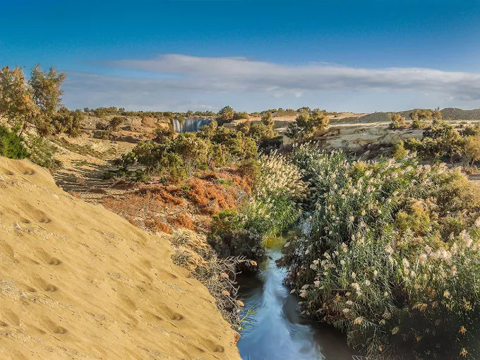 From Cairo: El Fayoum 4x4 Desert Safari and Highlights Guided Tour