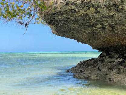 Zanzibar: Pongwe Coral Reef Snorkeling Private Tour