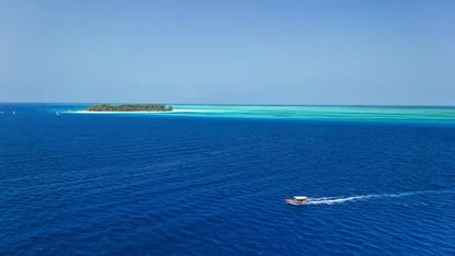 Zanzibar: 2 - Days Advanced PADI Open Water Diving Course with Lunch