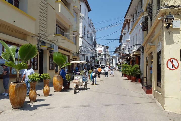 Zanzibar: 2 - Hour Private Stone Town Walking Tour