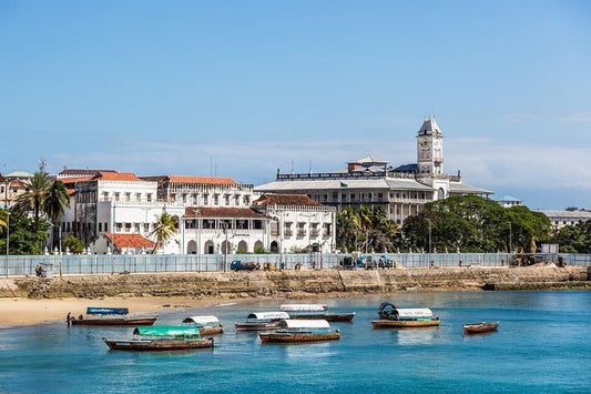 Zanzibar: 2 - Hour Private Stone Town Walking Tour