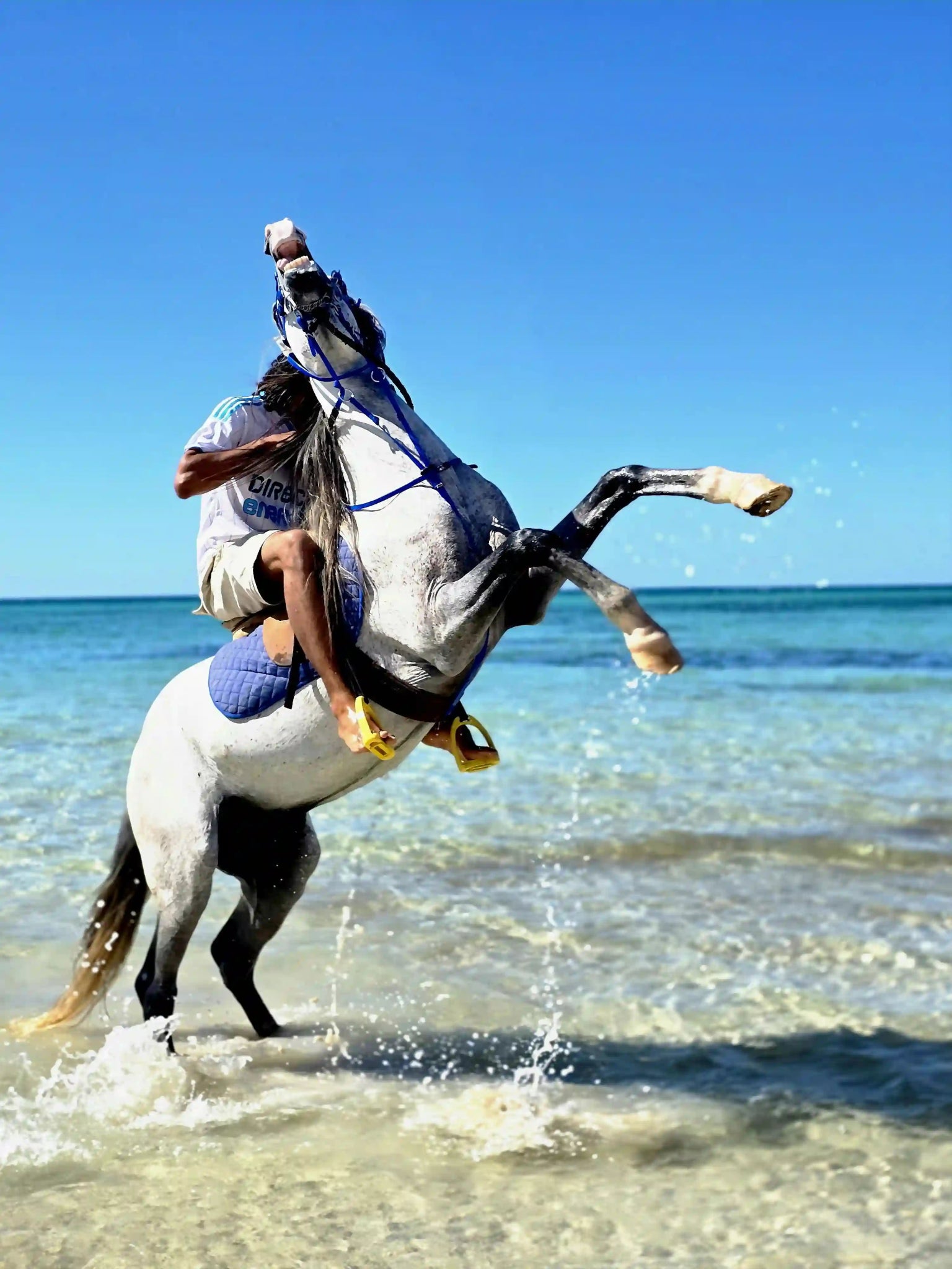Zanzibar: Beach Horseback Ride and Swim with Your Horse