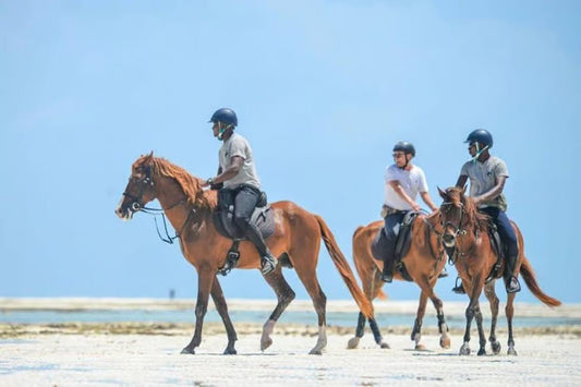 Zanzibar: Beach Horseback Ride and Swim with Your Horse